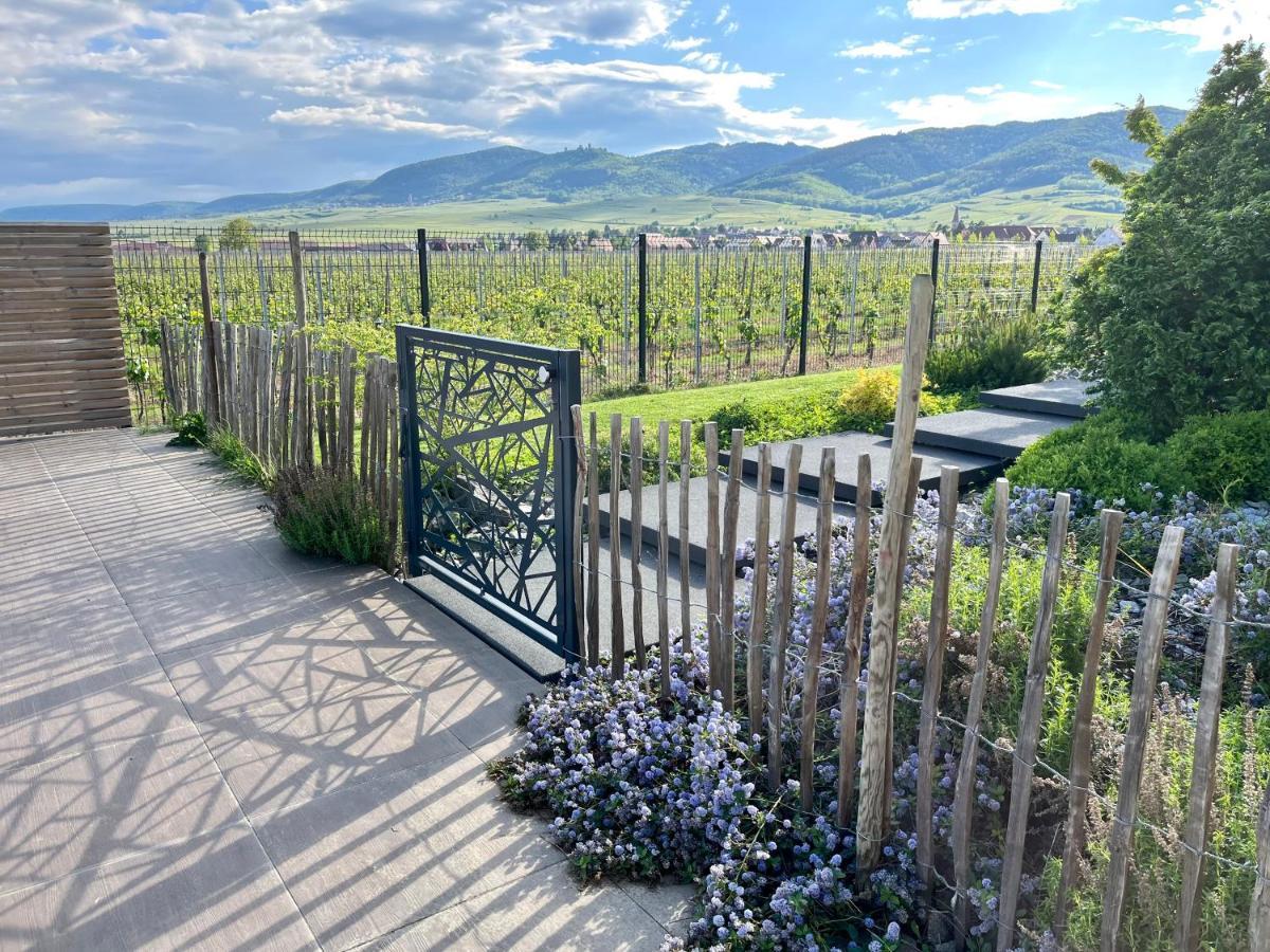 Gite Proche Colmar Vignoble Wettolsheim Екстер'єр фото